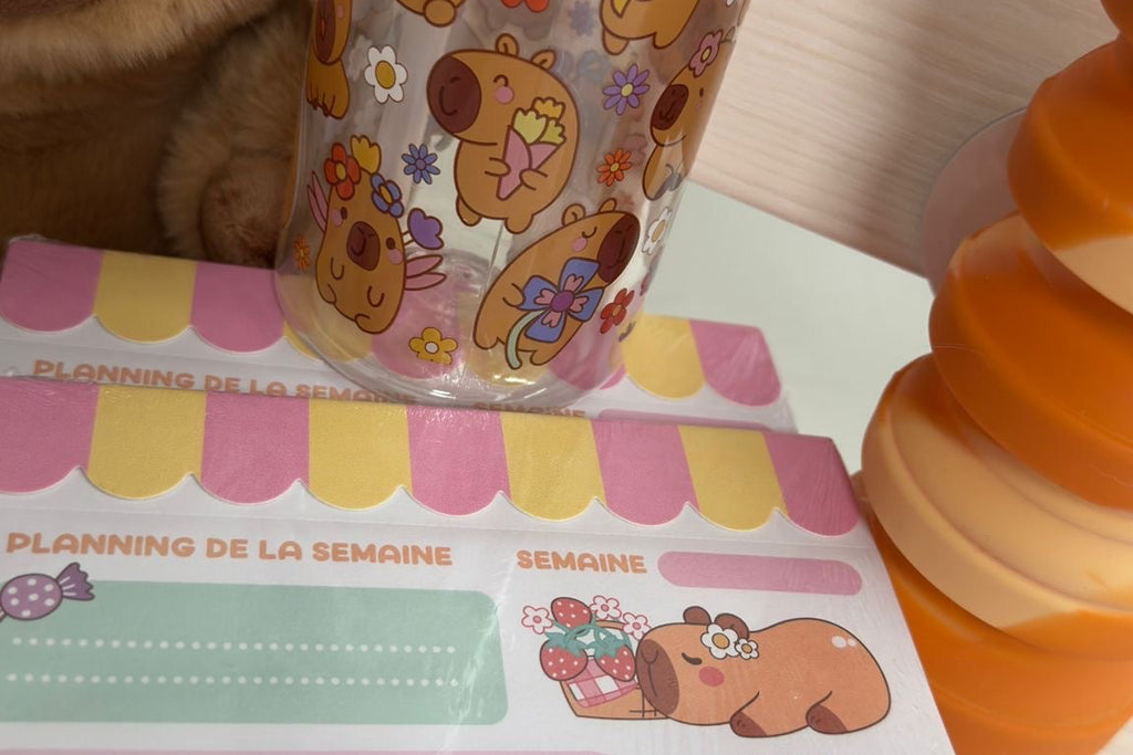 Box  Capybara - Enfant ou Adulte