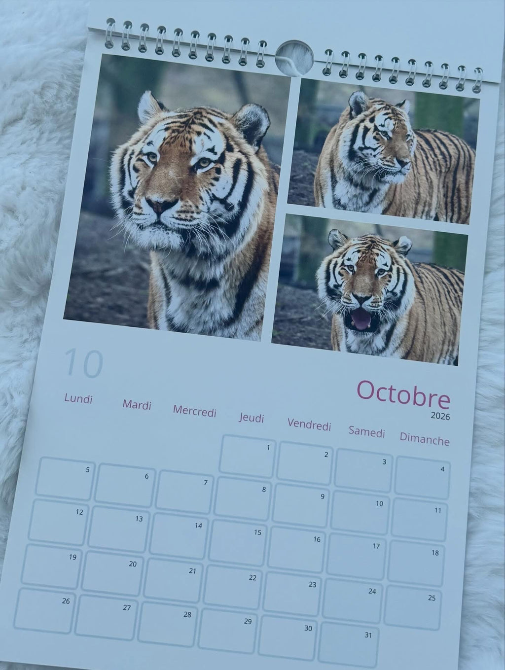 2026 Calendar