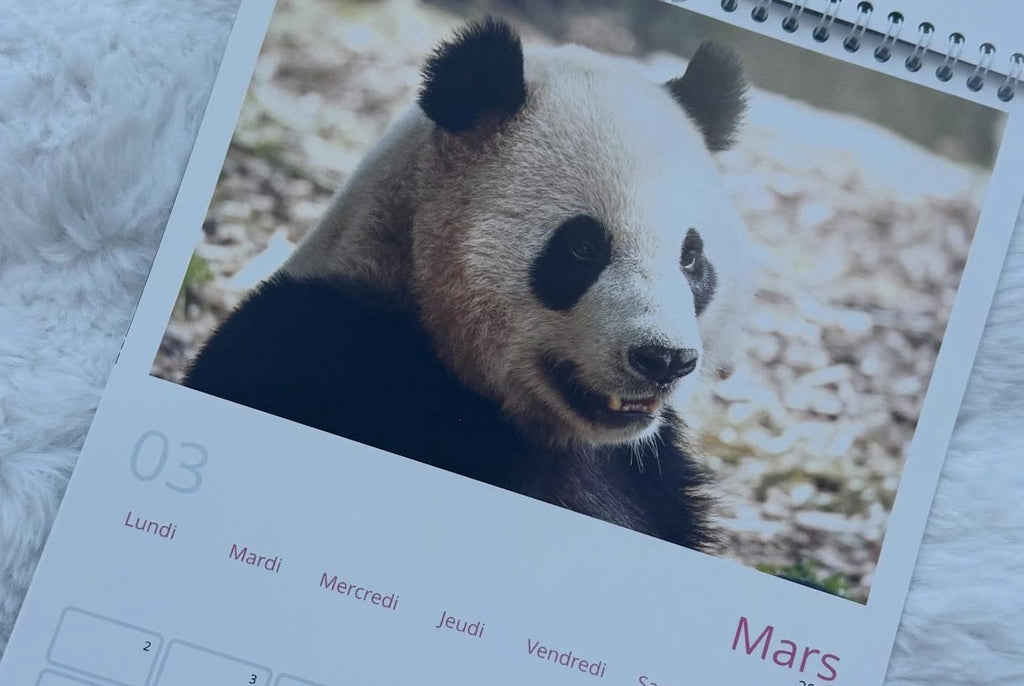 2026 Calendar