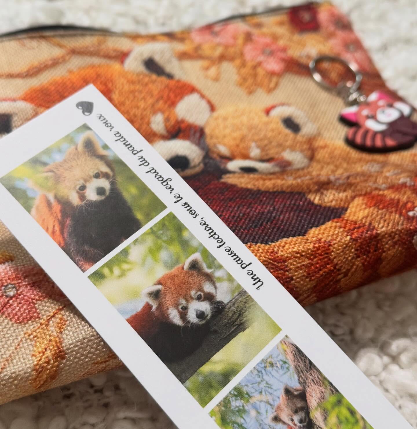 Box numéro 2 panda roux (adulte)