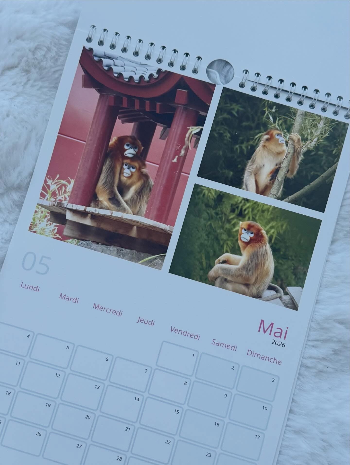 2026 Calendar