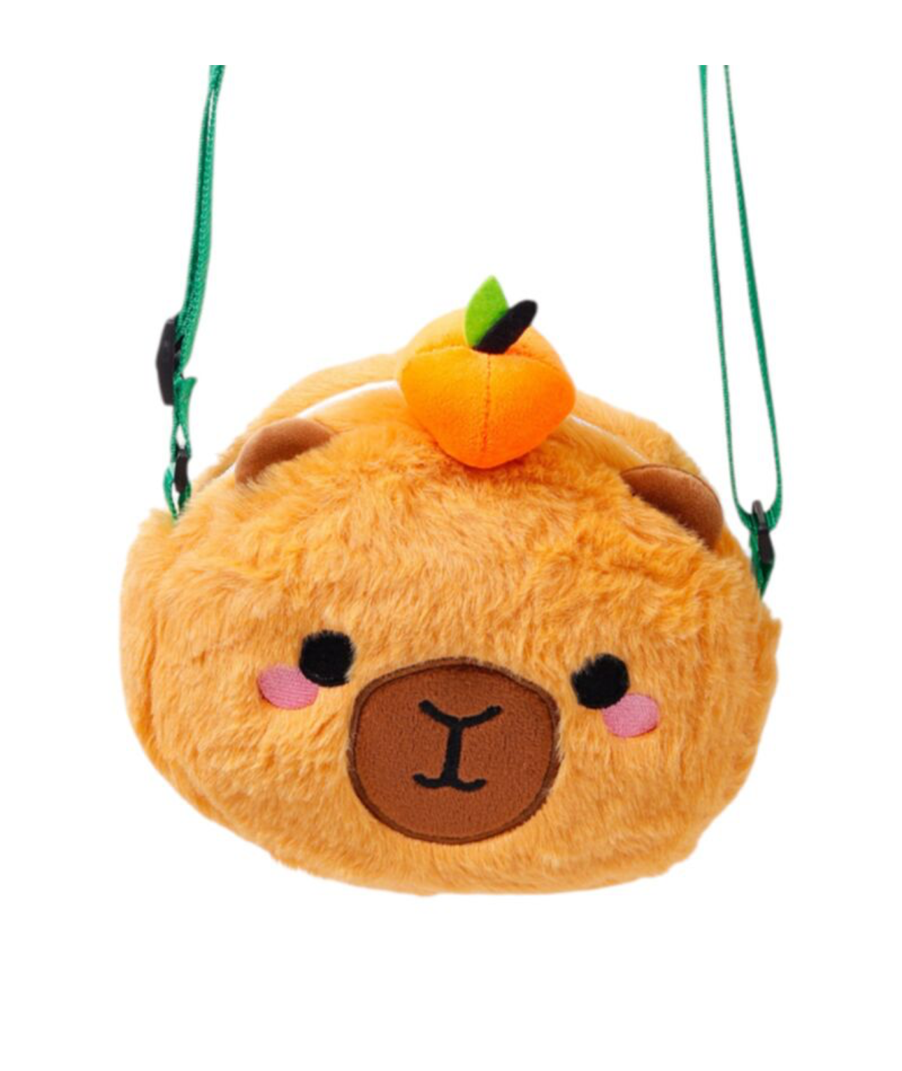Box numéro 6 thème été - capybara