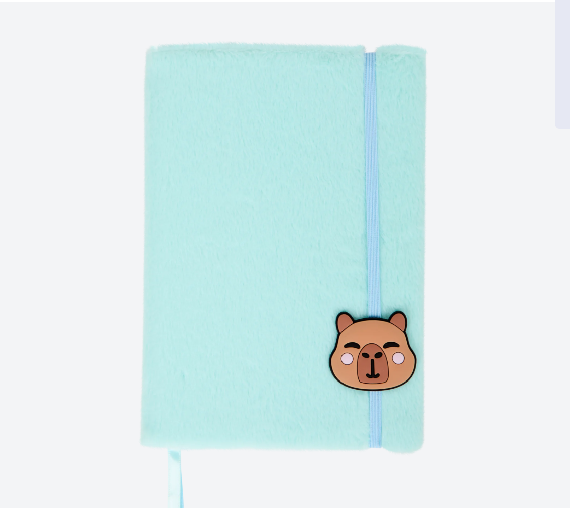 Box numéro 6 thème été - capybara