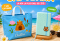 Box numéro 6 thème été - capybara