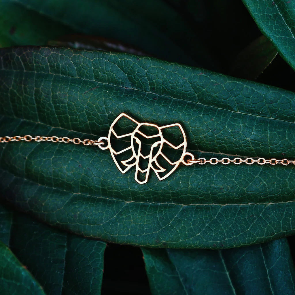 Box n°3 thème Eléphant - adulte 🐘